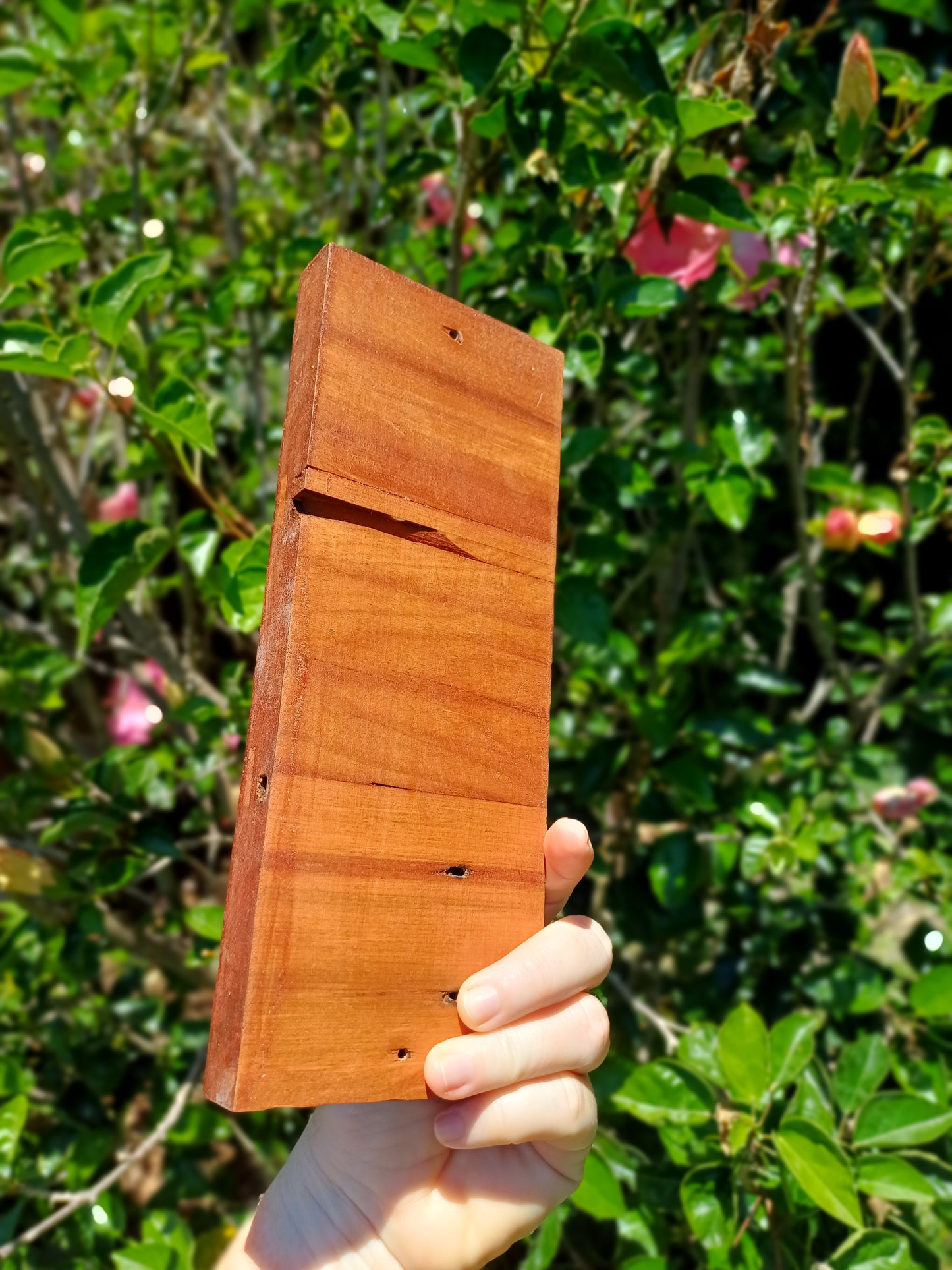 Cheers! Bottle Opener